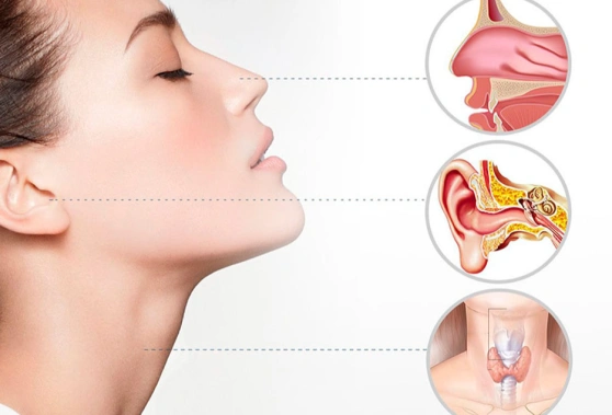 Отоларингология